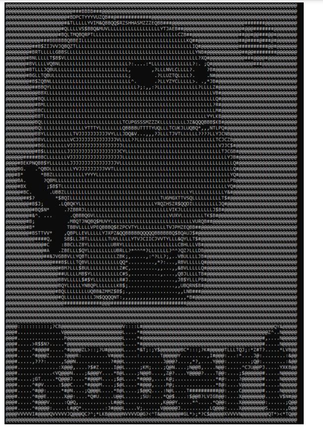 contains the following requirements: The program should output a customised pictorial art.