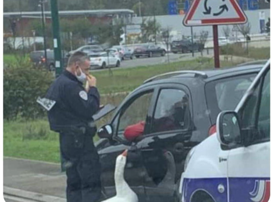 (Python - OpenCV) Using the given images and example codes (Given Below);