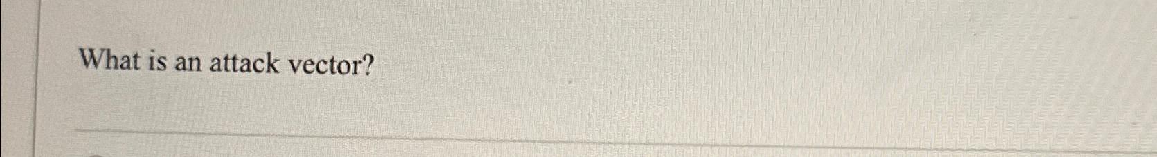  What is an attack vector? 