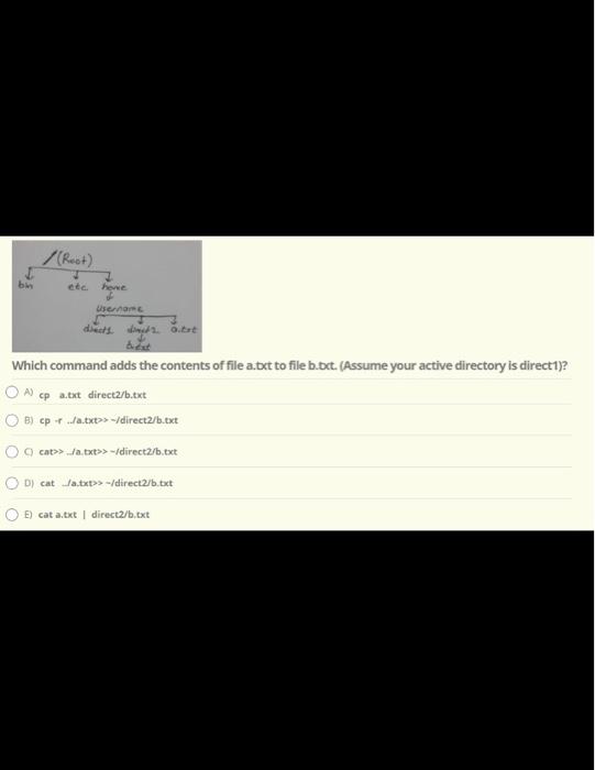 direct2? (Assume your active directory is bin.) OA) cd OB) cd home/username/direct2