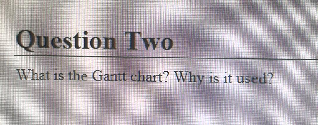  write own your words avoid coping Question Two What is the