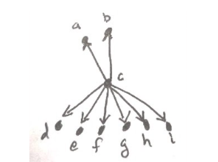  The Problem An "insect graph" is an unweighted, directed graph resembling