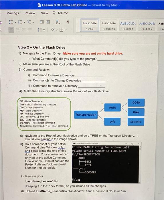 different color font Step 1 - Save this document as - LastName_Lesson3.docx