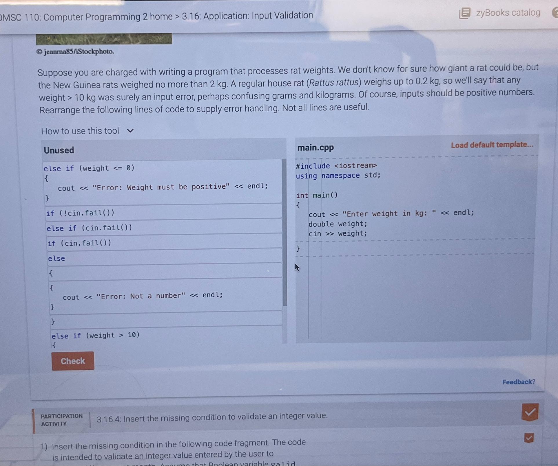  MSC 110: Computer Programming 2 home >3.16 : Application: Input Validation
