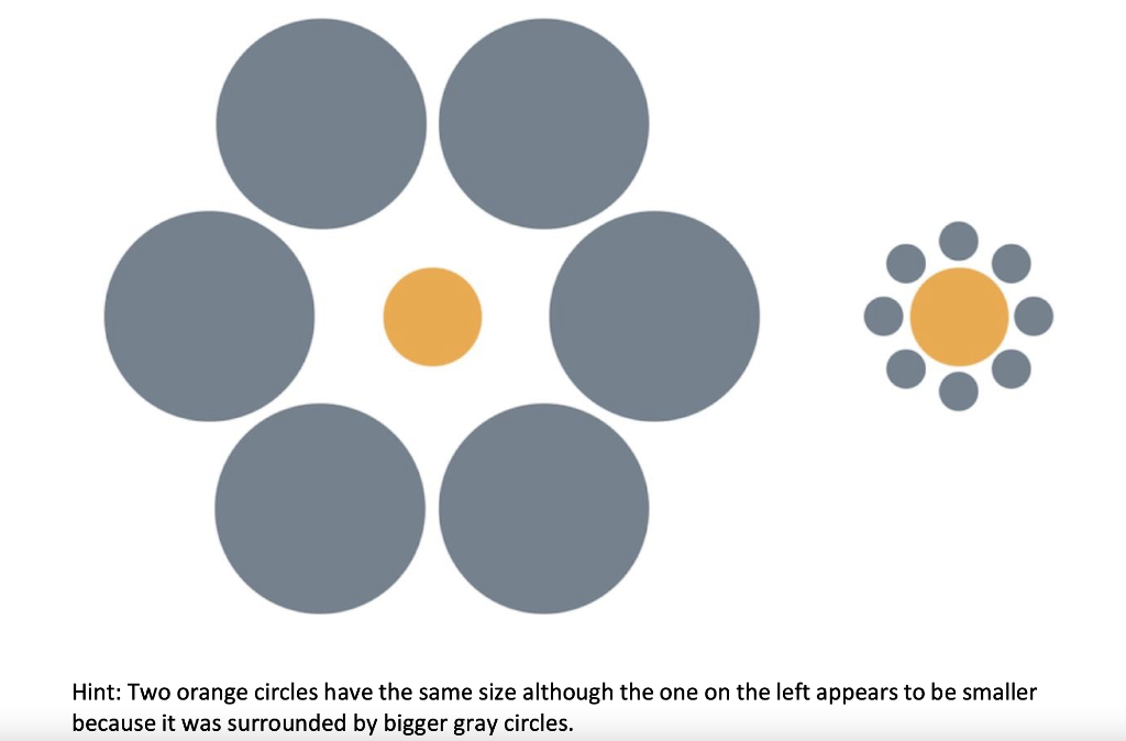 Draw using turtle python Hint: Two orange circles have the same size