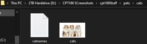 more files". b. Print the contents of the dognames.txt file. C. Print