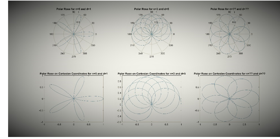 THE STEPS AND PICTURES THAT I uploaded A polar rose is a