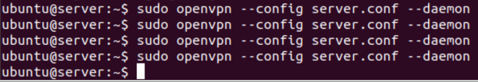 When I type "sudo openvpn --config server.conf --daemon" on the server I