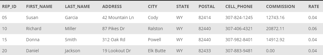  Make a table named REP. The table has the same structure