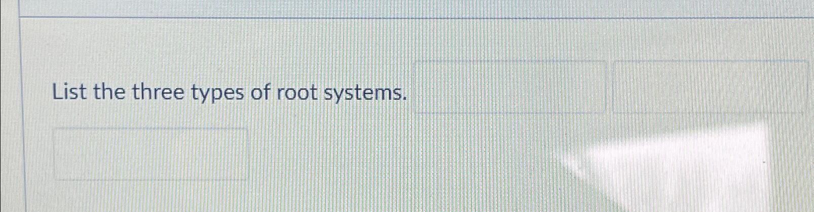  List the three types of root systems. 