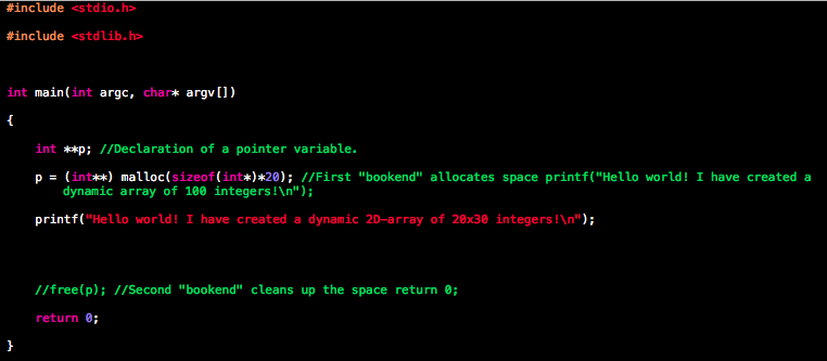  Modify your main.c file so that it allocates a two dimentional