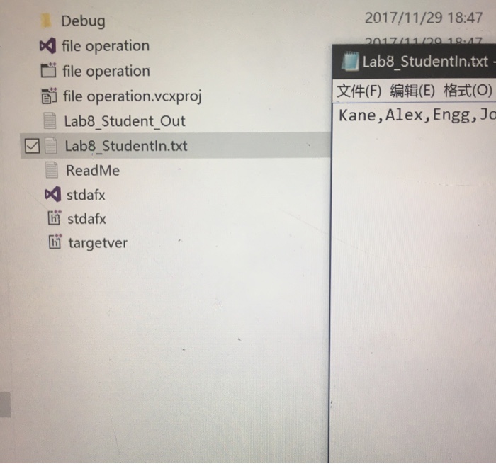 salary c. Save the file 2. Program shall read the contents of