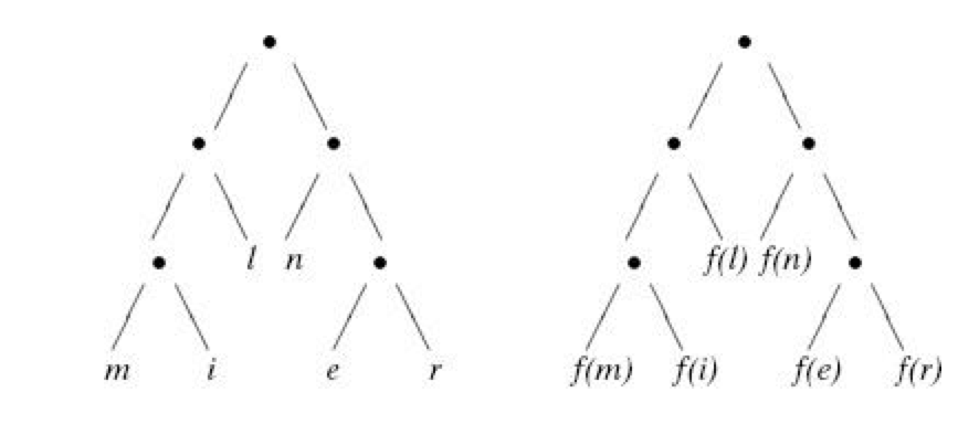 (a) The binary tree data type describes a binary tree for any