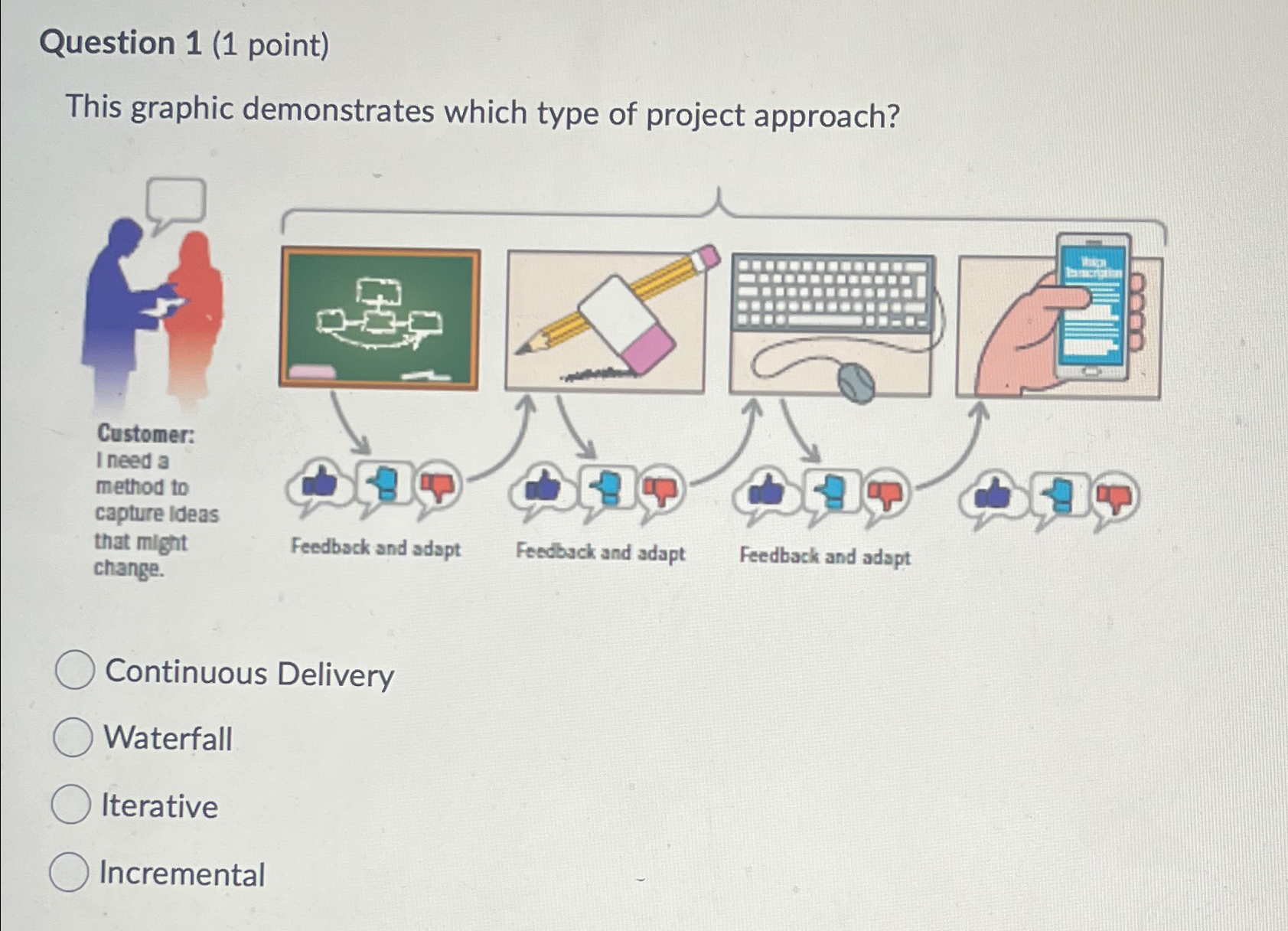  Question 1(1 point) This graphic demonstrates which type of project approach?