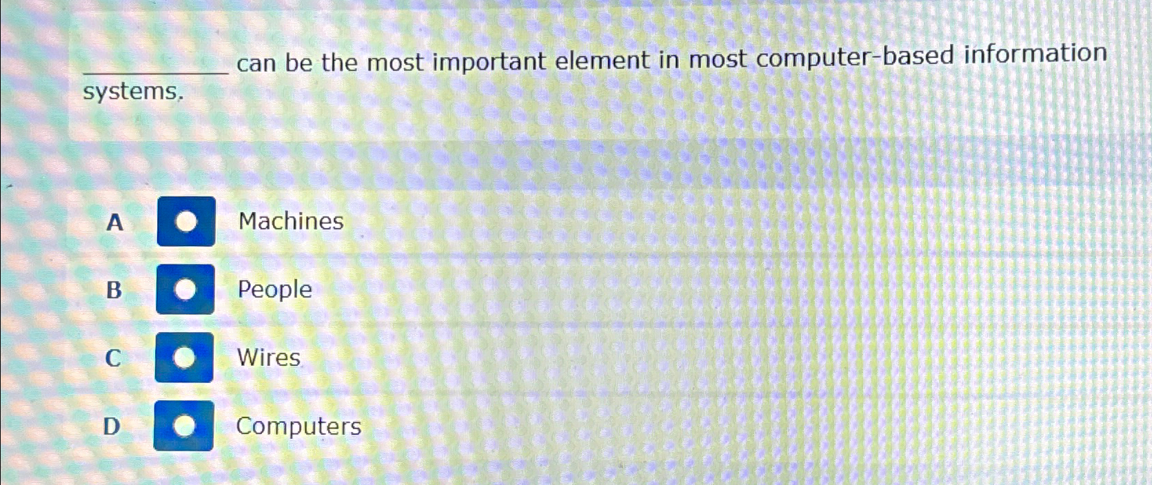  can be the most important element in most computer-based information systems.
