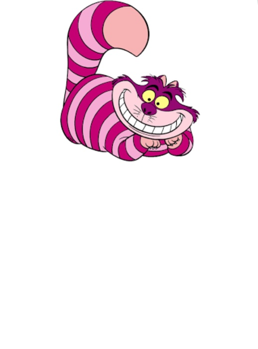 we use? Hide timer: will hide the image for a certain length