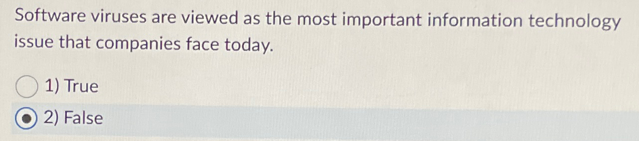  Software viruses are viewed as the most important information technology issue
