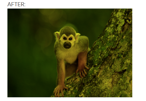 In this exercise, you'll get some more practice writing image filters! YOUR