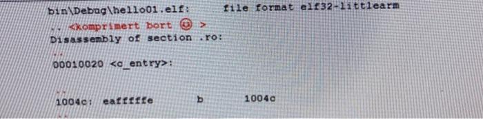 Explain the assembler code, and write the equivalent C-code bin\Debag\hello01.elf: file format