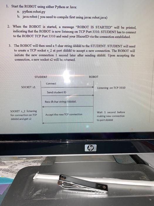 Socket Programming in Python with client/server. Can you pls be neat so
