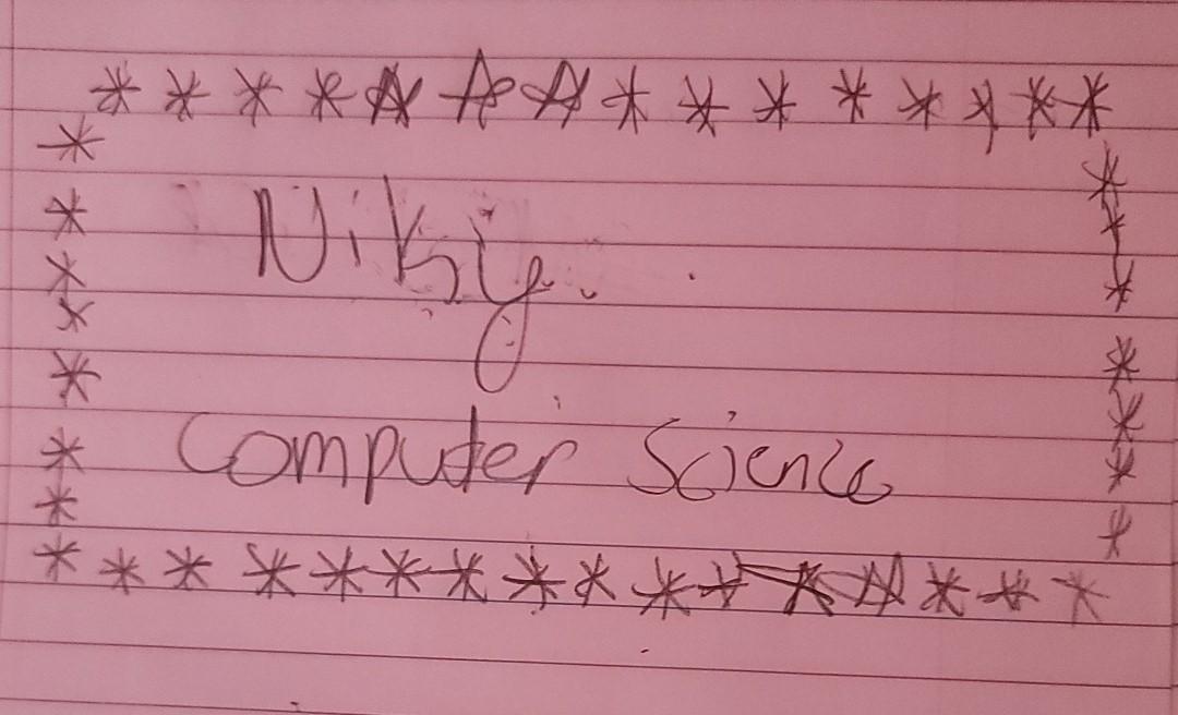 Also as you can see I have to write a program with