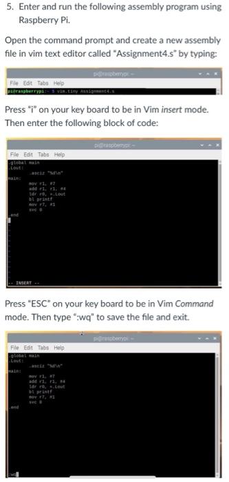  How do I run the following assembly program using raspberry pi?