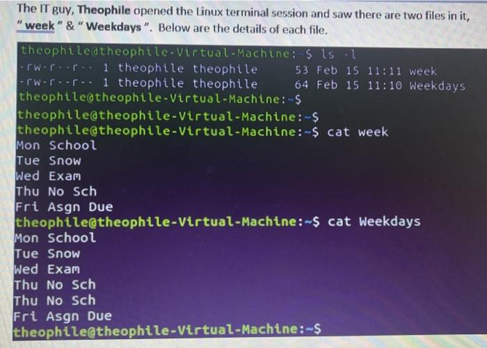  The IT guy, Theophile opened the Linux terminal session and saw