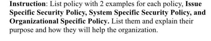  Instruction: List policy with 2 examples for each policy, Issue Specific