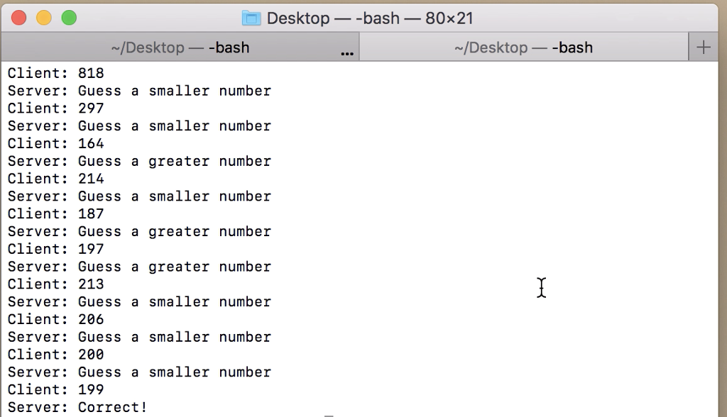 follows, Desktop --bash -80x21 /Desktop- -bash /Desktop--bash Client: 818 Server: Guess a