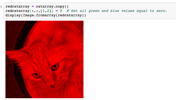 the blue and green cat-images, so that they match the orientation of