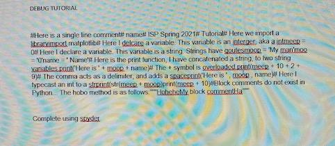 DEBUG TUTORIAL Here is a single line commentit namex ISP Spring