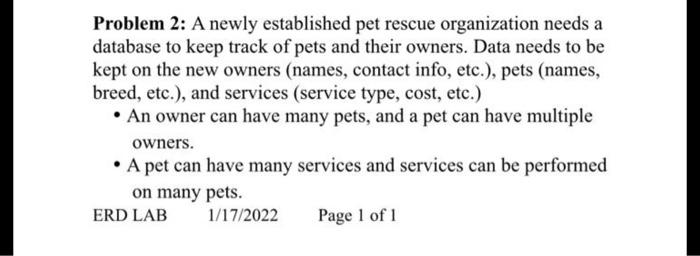  Problem 2: A newly established pet rescue organization needs a database