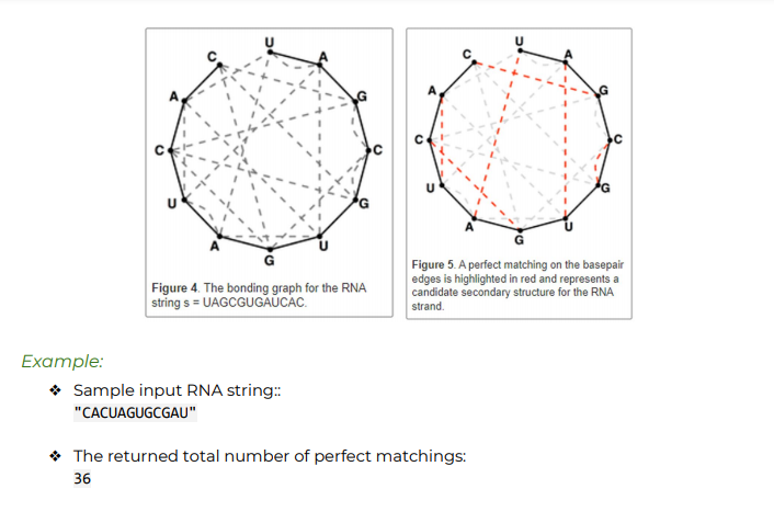string and returns the total possible number of perfect matchings of nucleotide