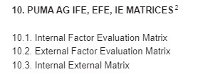  10. PUMA AG IFE, EFE, IE MATRICES 10.1. Internal Factor Evaluation