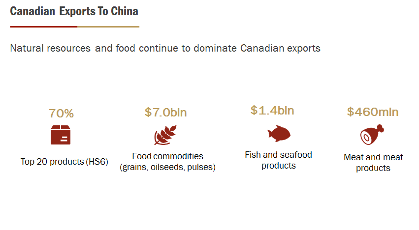 LONG ANSWER Question - Please read the summary below and answer the