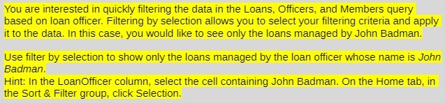 You are interested in quickly filtering the data in the Loans,