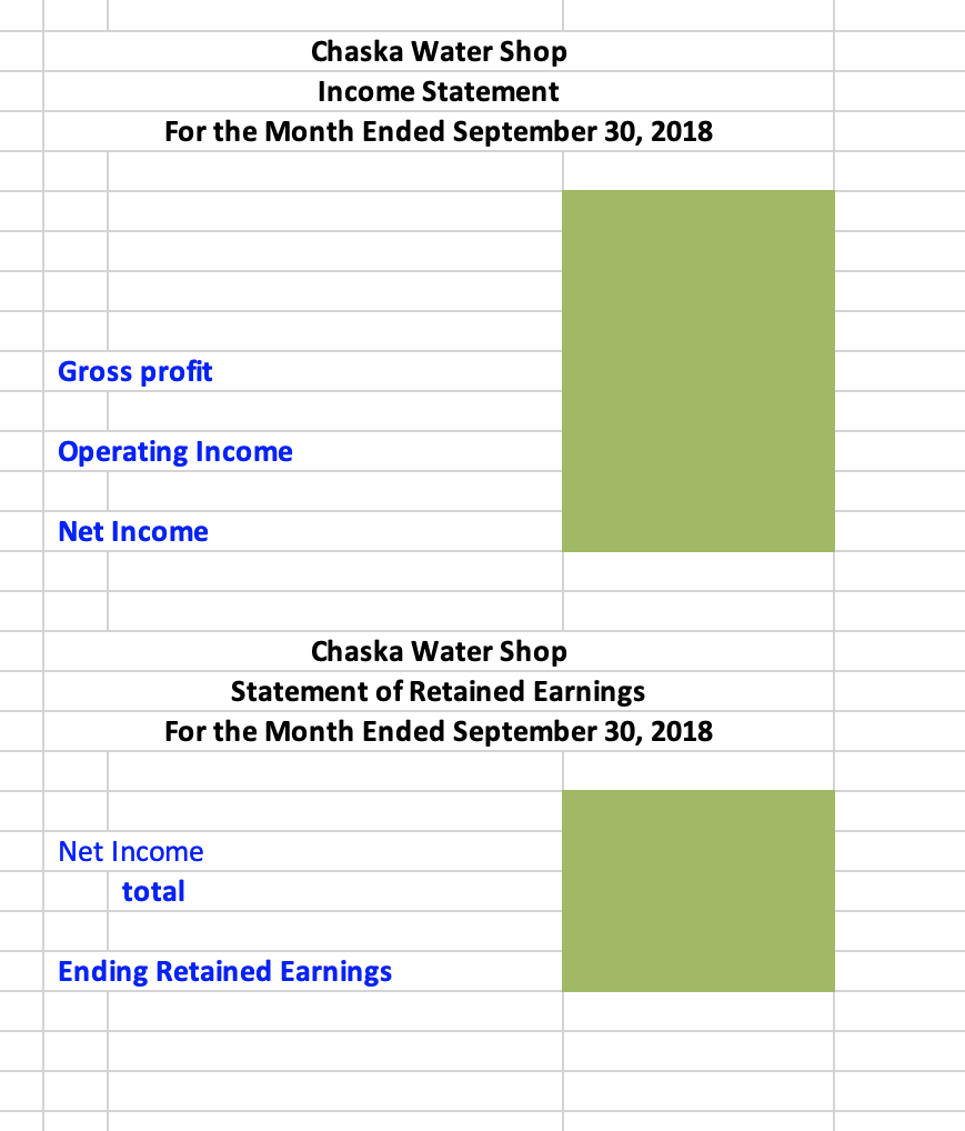 Rico named the shop Chaska Water Shop. The following are the transactions