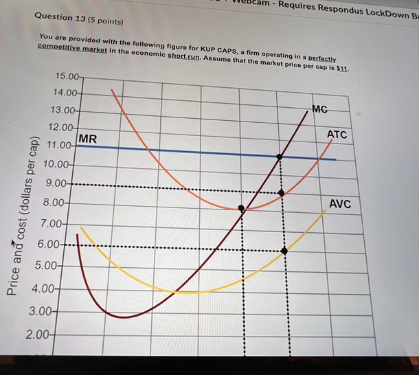  DCam - Requires Respondus LockDown B Question 13 (5 points) You