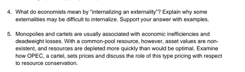 explain these questions 4. What do economists mean by \"internalizing an extemality"?
