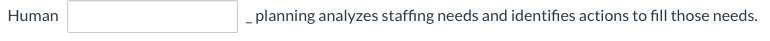 Help me answer the given question. Human _ planning analyzes staffing needs