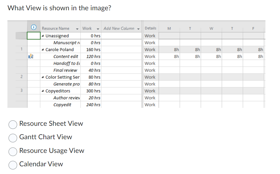 What View is shown in the image? Resource Name - Work