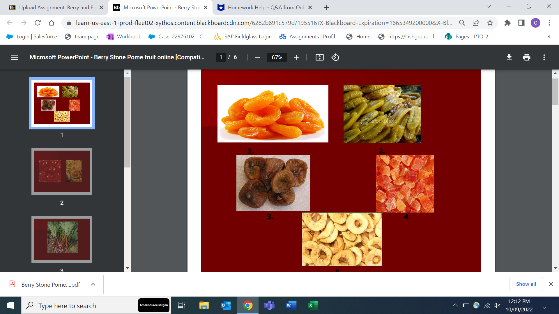 Bb Upload Assignment: Berry and Fr X Bb Microsoft PowerPoint -