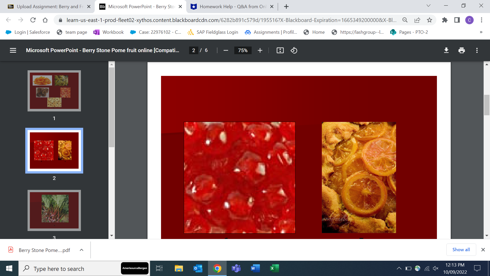 Berry Stor X *Homework Help - Q&A from Onl X + V