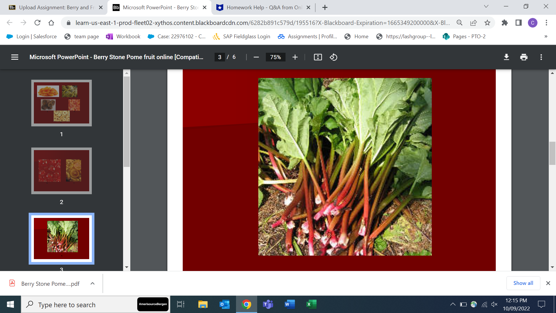 X C D A learn-us-east-1-prod-fleet02-xythos.content.blackboardcdn.com/6282b891c579d/195516?X-Blackboard-Expiration=1665349200000&X-BI... @ C . . . Login |