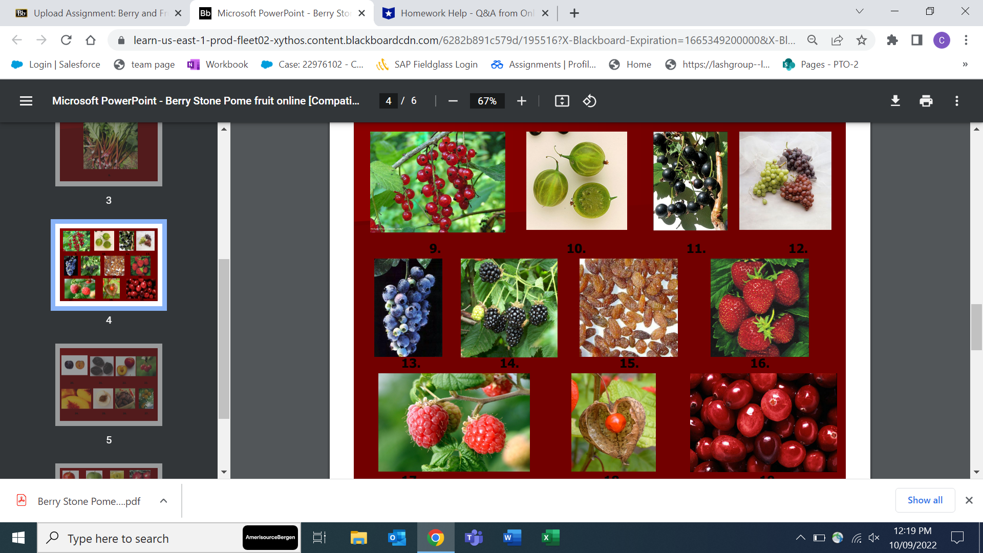 6% Assignments | Profil... & Home https://lashgroup--I... 5 Pages - PTO-2 >>