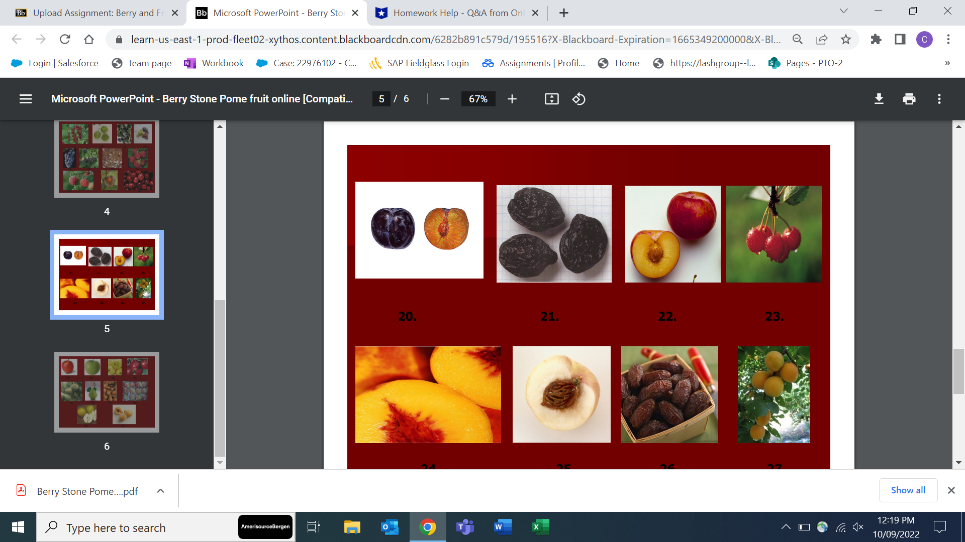 E Microsoft PowerPoint - Berry Stone Pome fruit online [Compati. 1 /