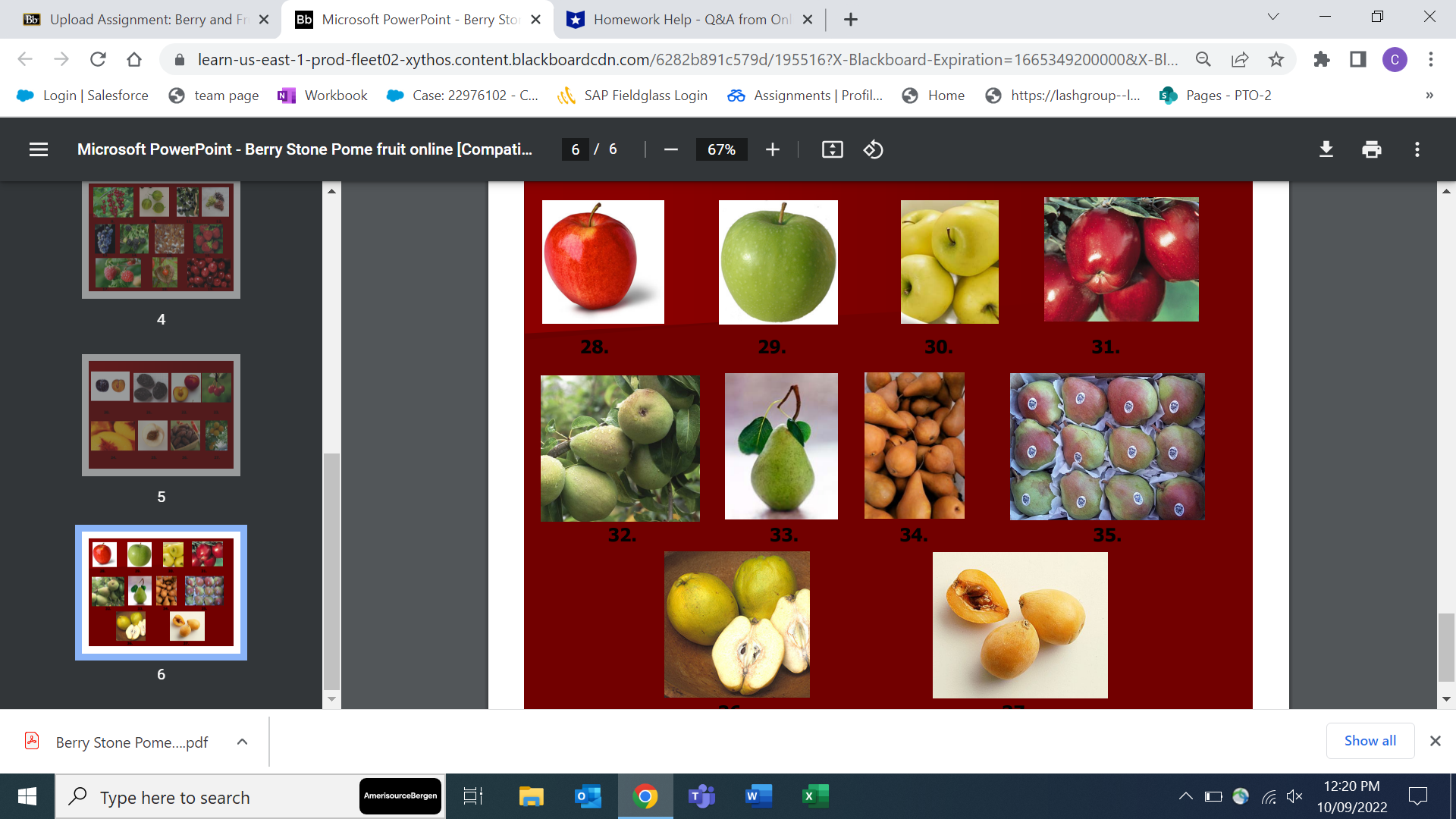 6 67% + 2 3. Berry Stone Pome..pdf Show all X Type