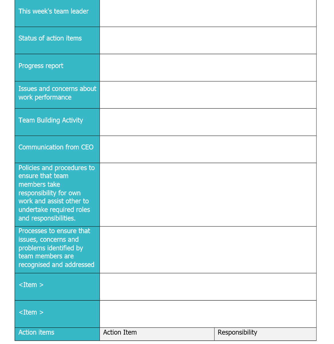 This week's team leader Status of action items Progress report Issues