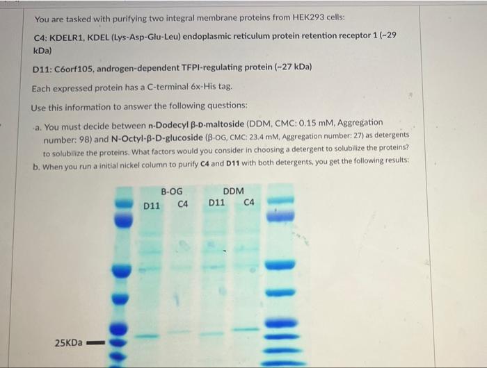  You are tasked with purifying two integral membrane proteins from HEK293