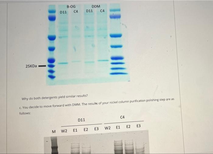 cells: C4: KDELR1, KDEL (Lys-Asp-Glu-Leu) endoplasmic reticulum protein retention receptor 1(-29 kDa)